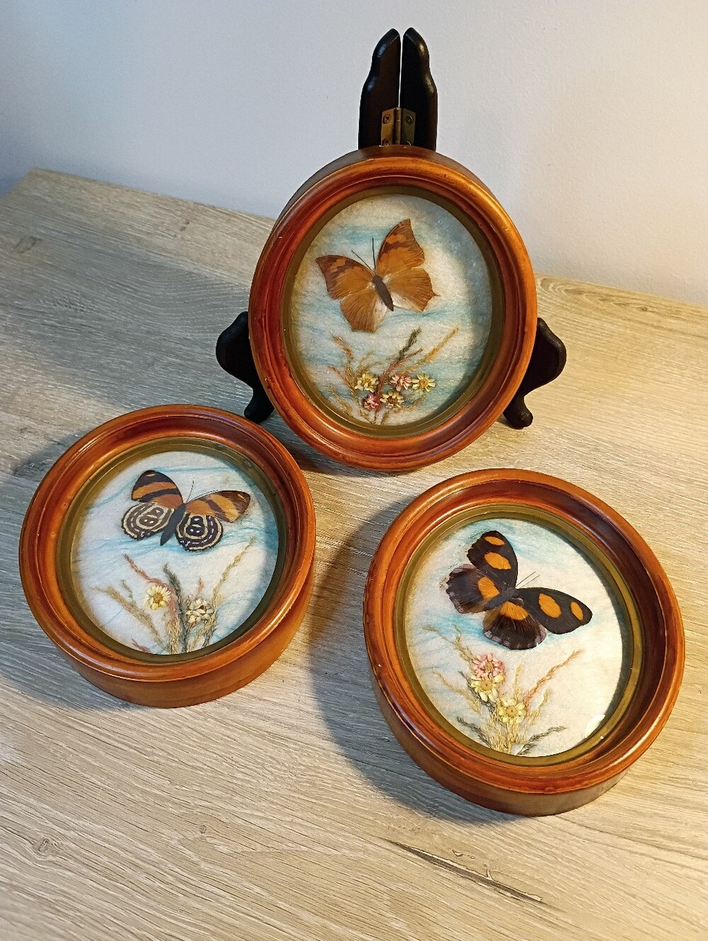 Vintage Taxidermy Art Butterflies And Pressed Flowers Wall Decor Set Of 3